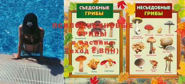 мяу мяу мука Аркадак